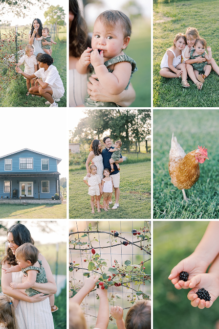 collage of photos taken of a family in a garden during a photo session